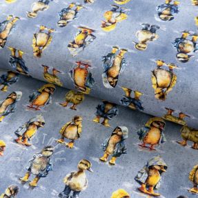 Jersey Raincoat ducklins grey digital print