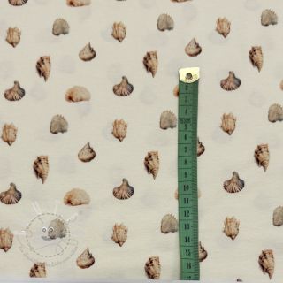 Jersey Baby Seashells digital print