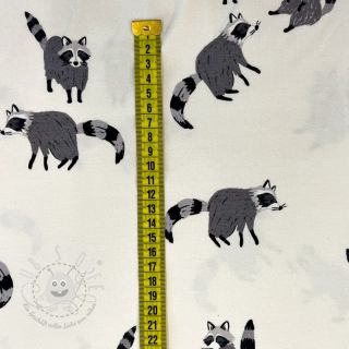 Jersey Raccoon digital print